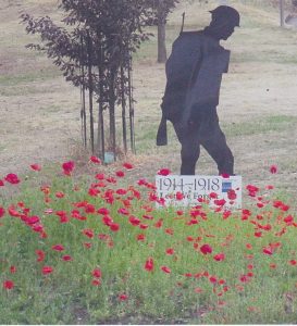 Silhouette of soldier in a poppy field